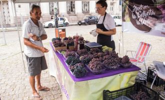 Feira Municipal da Uva começa nesta segunda-feira