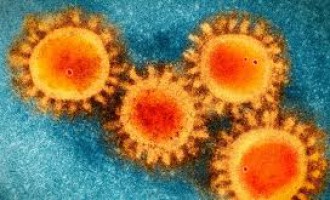 UFPel disponibiliza site com gráficos sobre o avanço, no país, do coronavirus