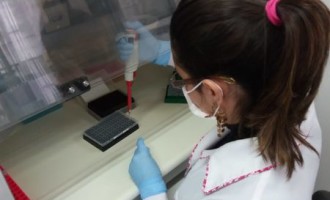 UCPel realizará testes para identificar coronavírus