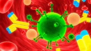 ENTRE as pessoas pesquisadas, 99% desenvolveram anticorpos
