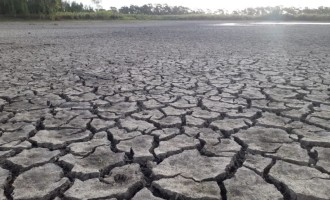 Projeto que anistia do pagamento dos Programas Troca-Troca de Sementes e Safrinha pode beneficiar 50 mil agricultores