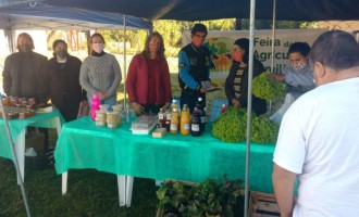 CAPÃO DO LEÃO : Qualidade da feira pra mesa