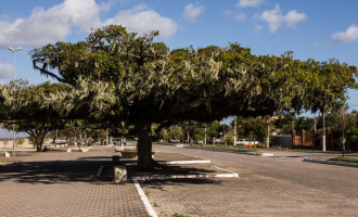 PREVENÇÃO AO CORONAVÍRUS : Isolamento social atingiu pico de 74% em Pelotas