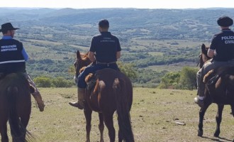 OPERAÇÃO RECOLUTA  : Primeira fase é encerrada e mais  de treze animais são apreendidos