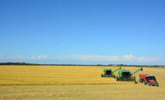 O que justifica a alta produtividade de arroz no Sul do Brasil?