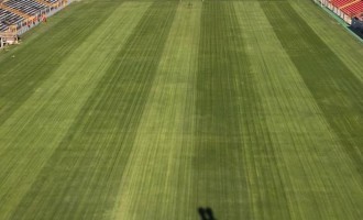 BRASIL : Ricardo Fonseca aposta em time forte para campeonato atípico da Série B