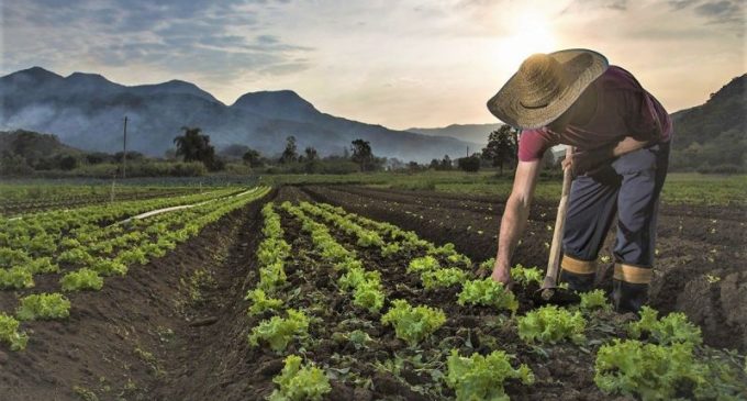 Brasil tem fertilizantes até outubro, garante ministra da Agricultura