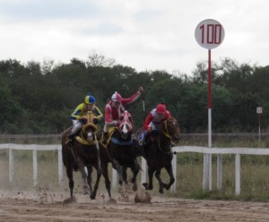 Cavalo Bolt da Lagoa e jóquei Vagner Montes foram os destaques Foto: Álvaro Guimarães / Jockey Clube