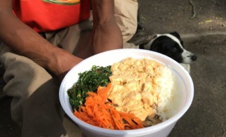 “Domingo Solidário” já entregou mais de 1300 refeições