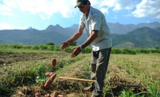 Limites de crédito para produtores rurais são elevados