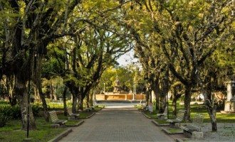 Projeto tem por objetivo criar “O Museu Virtual de Pelotas”