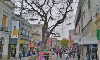 DECRETO : Comércio e outras atividades podem funcionar no Município