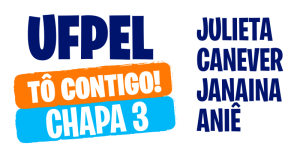 Chapa 3 UFPel Tô Contigo 2020 logo