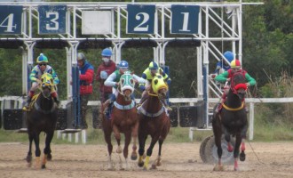 Obscéne rouba a cena e vence o GP Princesinha 2020
