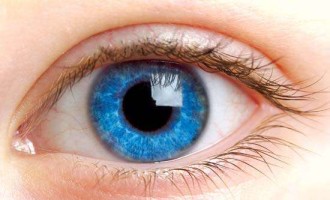 Sociedade de Oftalmologia alerta para os cuidados com os olhos na Primavera