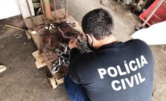Forças de Segurança fazem ofensiva contra furtos, arrombamentos e receptação de fios em Pelotas