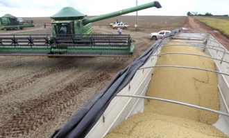 Definida programação da Abertura Oficial da Colheita do Arroz