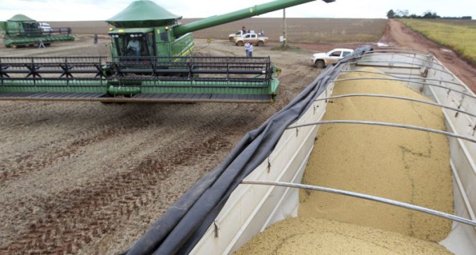 Safra de grãos deve ser 4,2% superior à produção de 2019
