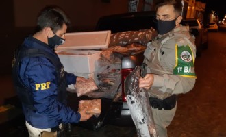 PRF e BM apreendem meia tonelada de pescado impróprio para consumo em Pelotas