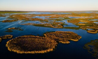 DNIT lança material sobre a flora nativa do Rio Grande do Sul