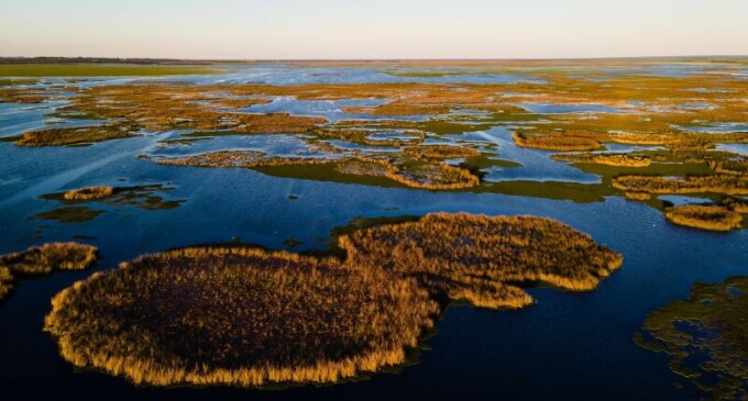 DNIT lança material sobre a flora nativa do Rio Grande do Sul