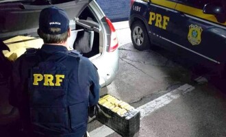 TRÁFICO  : Polícia Rodoviária prende dupla  com 39 quilos de maconha