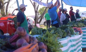 Feiras livres retornam aos sábados