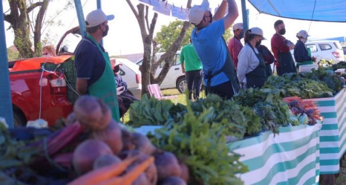 COMERCIALIZAÇÃO : Agricultores familiares inauguram nova feira em Pelotas