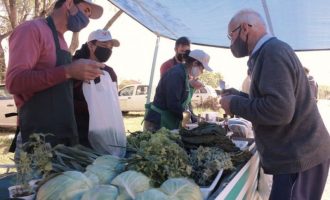 Feiras livres de sábado são antecipadas em função do lockdown