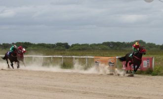 Obscéne : Um campeão cada vez mais difícil de ser batido