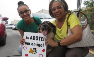 MEU AMIGO PET : Adote um animal neste Natal