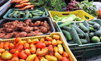 Prefeitura e agricultores firmam nova parceria para compra de alimentos
