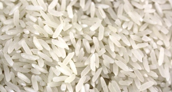 Irga divulga lista das 50 maiores beneficiadoras de arroz do RS