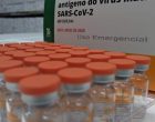 Ministério da Saúde enviará lote de Coronavac para zerar segundas doses atrasadas