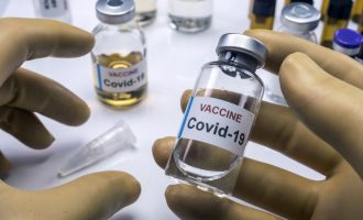 COVID-19 : Anvisa alerta para venda de vacinas falsas na internet