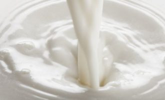 BARCO SOLIDÁRIO : Ação para arrecadar 500 litros de leite