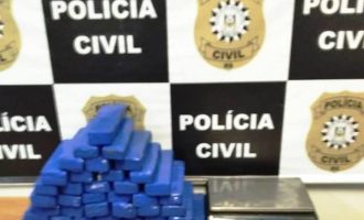 Polícia apreende 29 kg de maconha