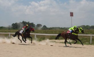 TURFE : Tablada vive domingo de quebra de recordes