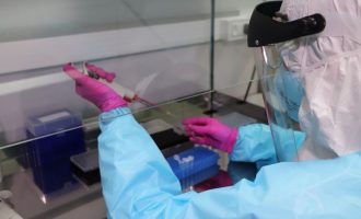 UCPEL : Laboratório Zattera é referência em testes por RT-PCR em Pelotas
