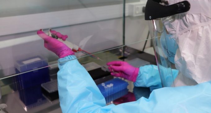 UCPEL : Laboratório Zattera é referência em testes por RT-PCR em Pelotas