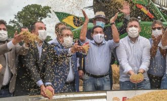 ARROZ : Abertura da colheita termina em clima de emoção e superação