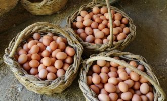 Agroindústrias da região vão melhorar a alimentação de estudantes