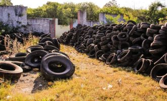 Começa a retirada de pneus em área da avenida Francisco Caruccio