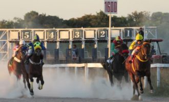 Deep Dream favorito ao Princesa 2021