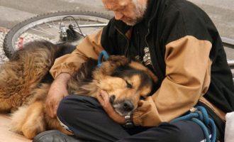 Aprovado o projeto que permite animais em abrigos para moradores de rua de Pelotas