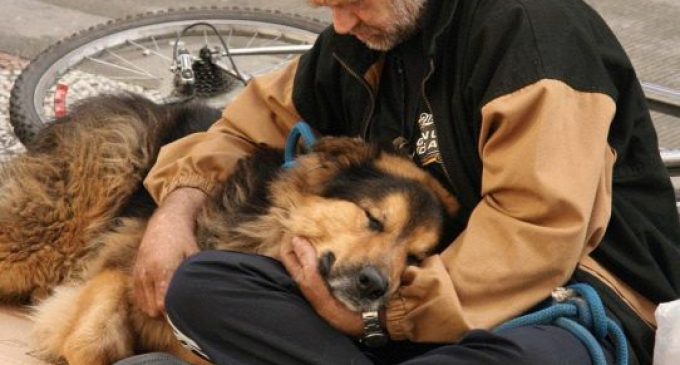 Aprovado o projeto que permite animais em abrigos para moradores de rua de Pelotas