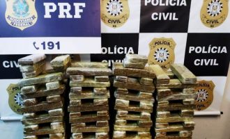 Aumentam em 80% as apreensões de maconha no RS