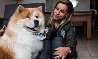 Cuidado e carinho, antes e depois da adoção