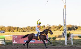 Deep Dream vence o 83º GP Princesa do Sul e agora mira o GP Bento