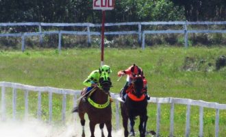 “Em Cima do Laço” reencontra vitória na Tablada